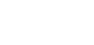 ICOM Network